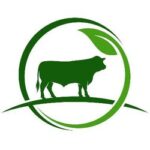 where to buy dmtr - Dimitra