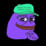 where to buy purpe - PURPLE PEPE