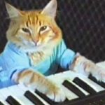 where to buy keycat - Keyboard Cat (Base)