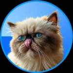 where to buy miggles - Mr. Miggles