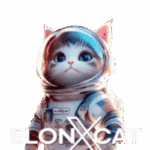where to buy exc - ElonXCat