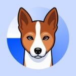 where to buy benji - Basenji