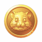 where to buy hmstr - Hamster Kombat