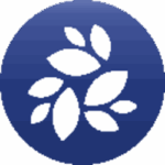where to buy nkn - NKN