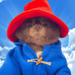 where to buy bert - Bertram The Pomeranian